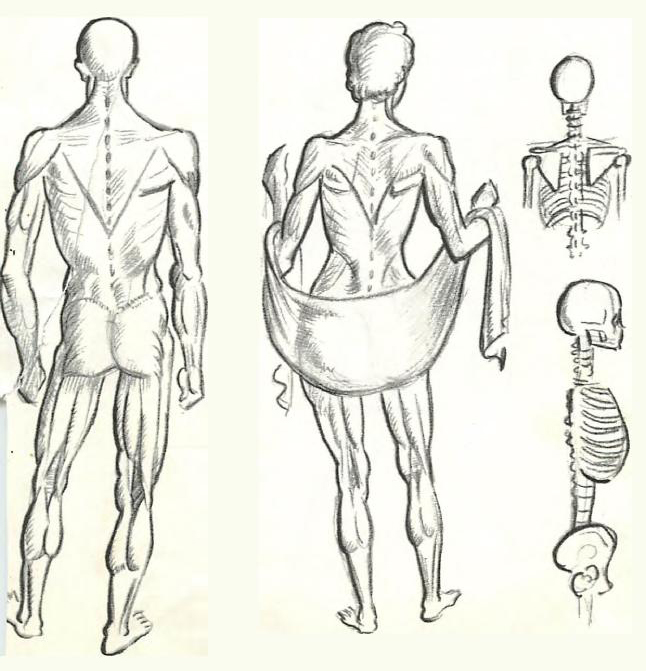 How to Draw the Human Figure : Drawing Body, Head, Facial Features