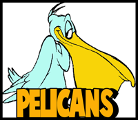 How to Draw Cartoon Pelicans