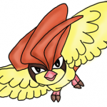 How to Draw Pidgeotto from Pokemon Step by Step Drawing Lessons