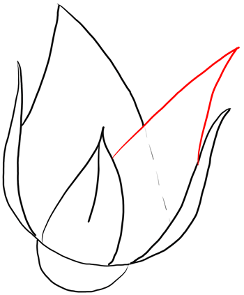 Now draw another upside down'v' shape that crisscrosses the first one