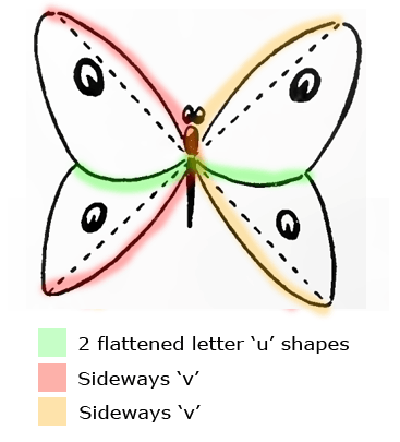 Now draw 2 flattened 'u' like shapes in the center of the butterfly.