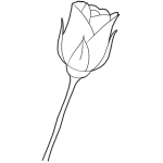 How to Draw Long Stem Roses Drawing Tutorial for Valentines Day