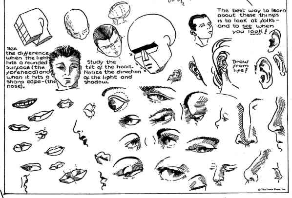 how to draw cartoons eyes. How to Draw Cartoon Heads