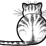 How to Draw Kitty Cats from the Back Easy Step by Step Drawing Tutorials