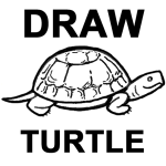 How to Draw Turtles with Easy Step by Step Directions