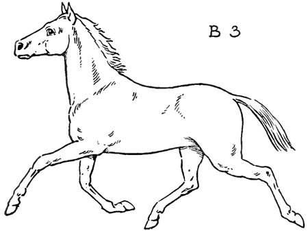 Step 3b - How to Draw Horses Running / Trotting - How to Draw Step by