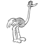 How to Draw Cartoon Ostriches with Easy Step by Step Drawing Lesson