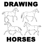 How to Draw Horses with Easy Step by Step Drawing Lessons