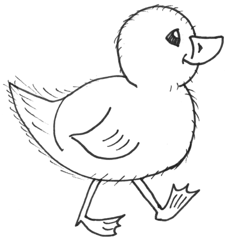 Easy on How To Draw Chicks   Drawing Cartoon Baby Chicks In Easy Steps