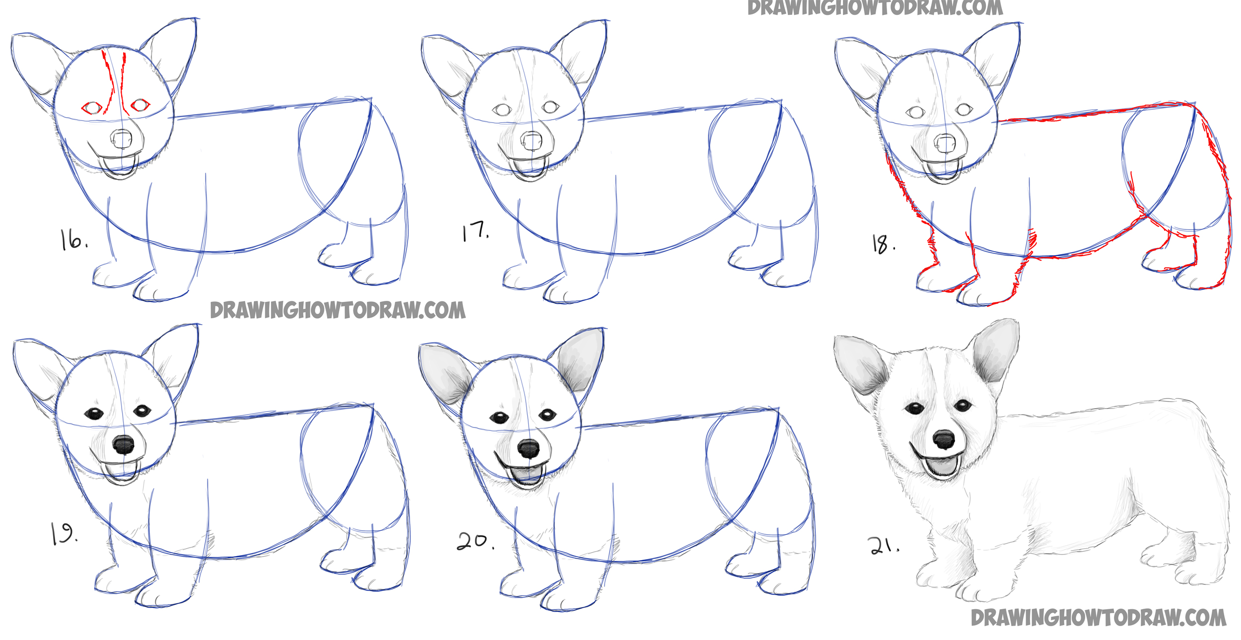 How To Draw A Realistic Dog Tutorial For Beginners All in one Photos