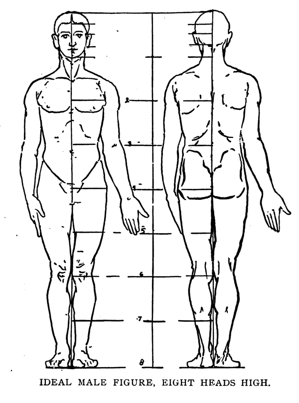 Drawing The Human Body Figure By Memorizing Human Anatomy And The Proportions And Ratios Of The Human Body Parts In Relation To Eachother