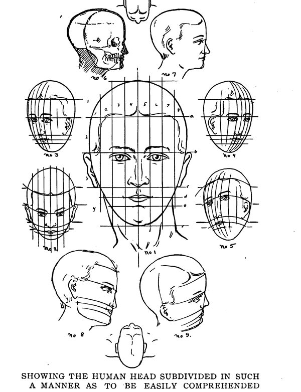 The Human Head and Face Divided in Proportions Easy to Understand and Memorize