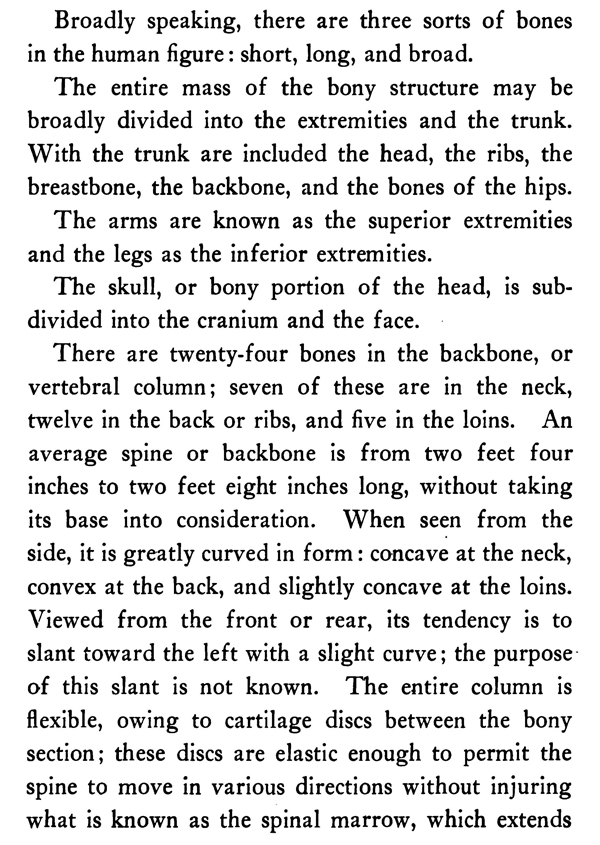 The Human Anatomy and Skeletal System for Artists