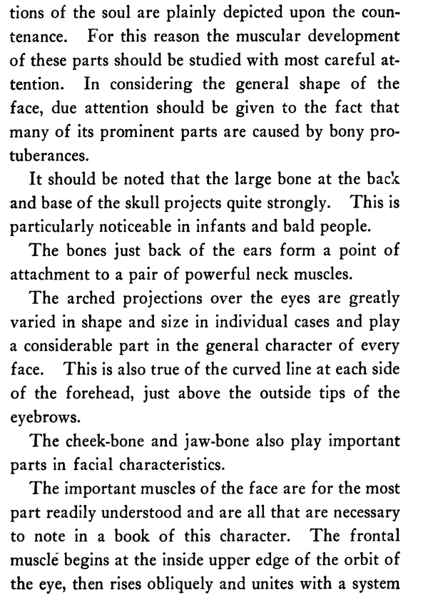 The Human Skull and Anatomy for Artists