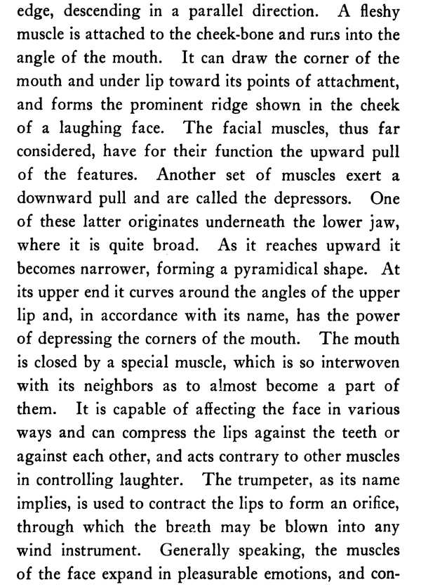 Facial and Neck Muscles Anatomy for Artists and Caricaturists