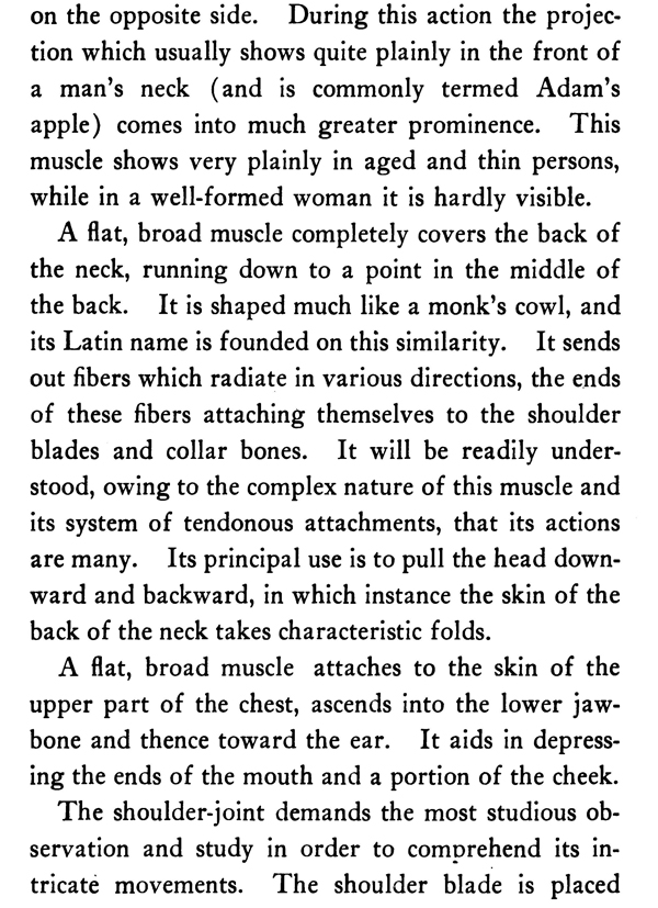 Facial and Neck Muscles Anatomy for Artists and Caricaturists