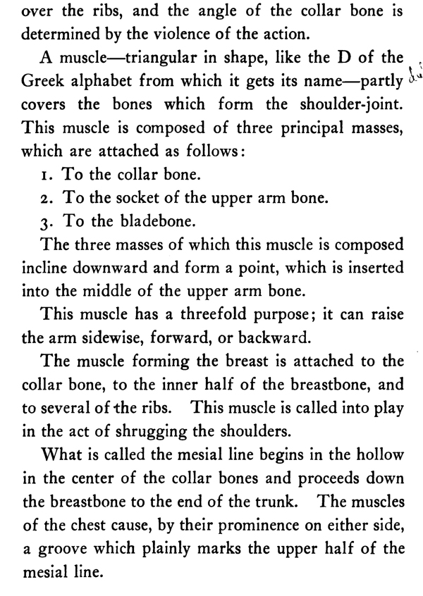 Human Anatomy and Skeletons for Artists