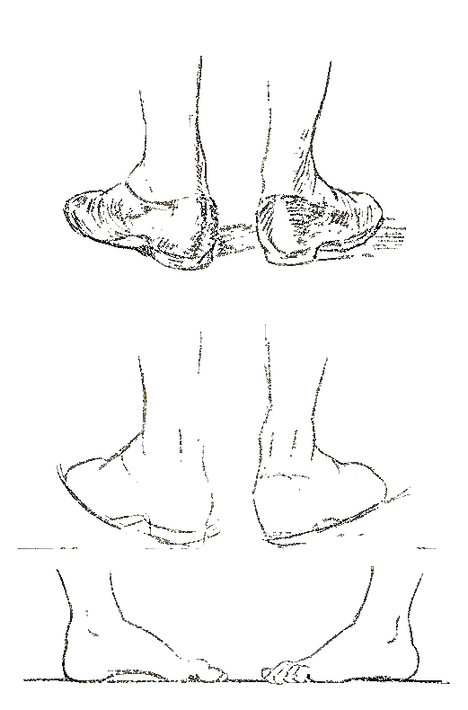  How to Draw Feet and Toes with Human Foot Drawing lessons 