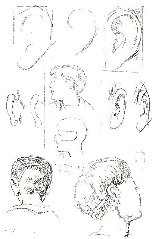 How to Draw Heads, Faces, Hair, and Facial Features ...