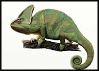 How to Draw a Chameleon