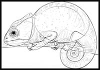 How to Draw a Chameleon