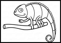 How to Draw a Chameleon Step by Step Instruction
