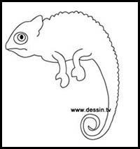 How to Draw a Chameleon  Easy Step-by-Step & Templates - Arty