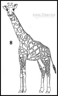 How to Draw Giraffes Drawing Tutorials Drawing How