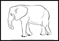 How to Draw an Elephant