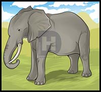 How to Draw an Elephant