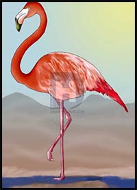 How to Draw a Flamingo