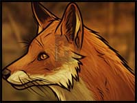 How to Draw Cartoon Foxes & Realistic Foxes : Drawing Tutorials