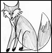 How to Draw a Fox