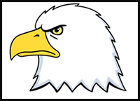 simple eagle head sketch