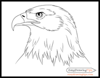 how to draw an eagle head step by step