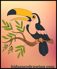 Amazing Toucan Drawing