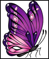 Learn How to Draw a Butterfly