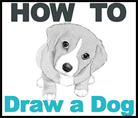 How to Draw Spike the Dog from Rugrats with Easy Step by Step Drawing  Lesson