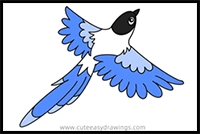 How to Draw a Flying Magpie Easy Step by Step for Kids