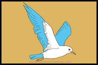 How to Draw a Realistic Seagull