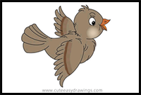 How to Draw a House Sparrow Step by Step