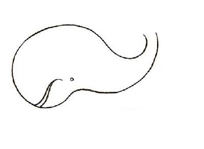 How  to draw whales