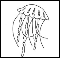 how to draw a jellyfish step by step for kids