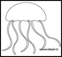 Featured image of post How To Draw Jelly Fish For Kids - Follow along with our simple step by step lessons as we guide you through every single line and stroke.