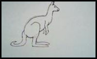 how to draw a kangaroo