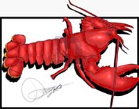 How to Draw a Lobster