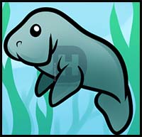 How to Draw Cartoon Manatees & Realistic Manatees : Drawing Tutorials