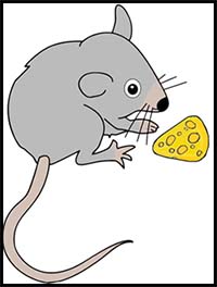 How To Draw Cartoon Mice Rats Realistic Mice Rats