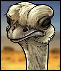 How to Draw an Ostrich