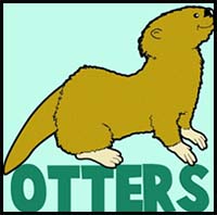 How to Draw Cartoon Otters with Easy Instructional Steps